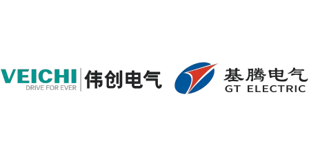 Changzhou GT Electric Co.Ltd