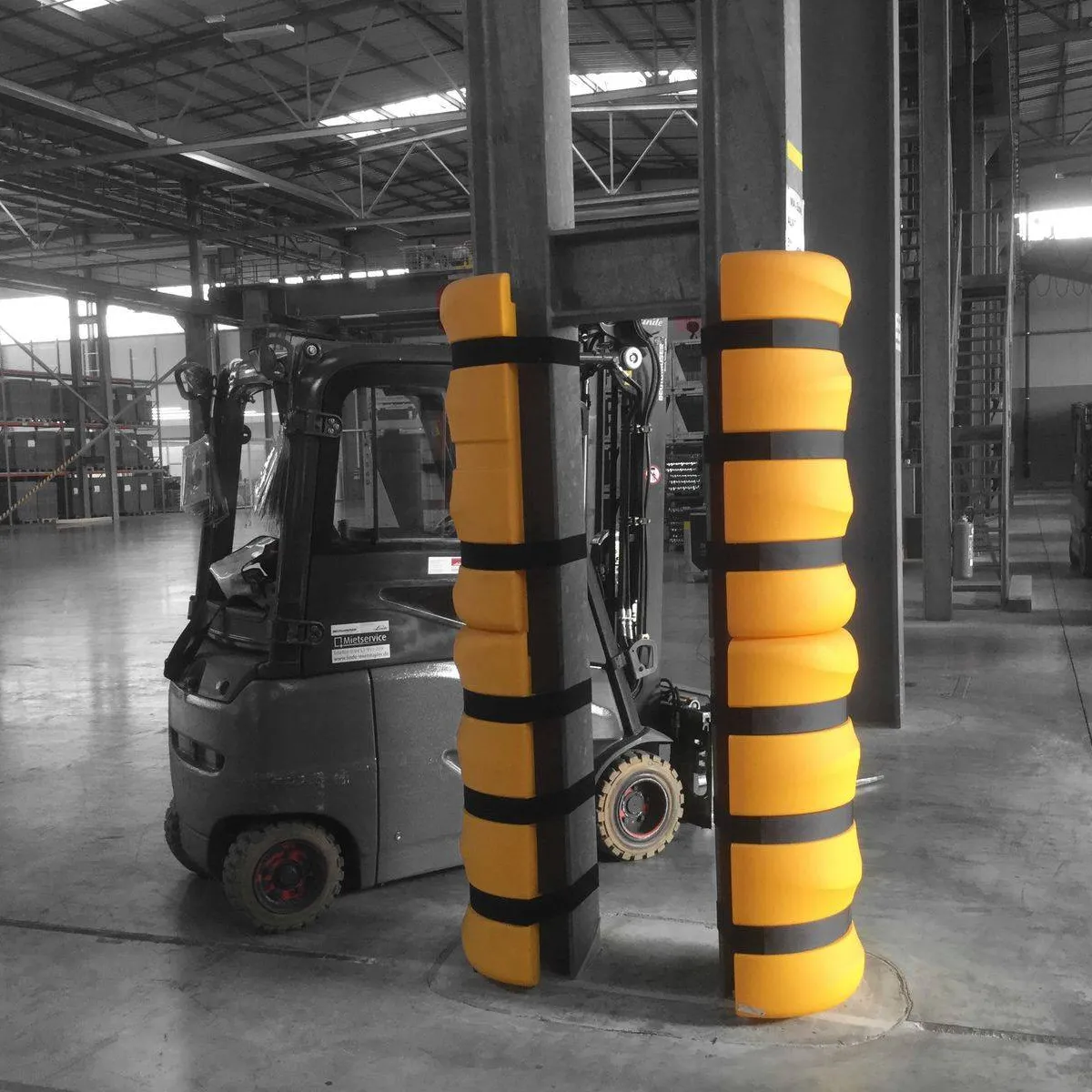 DS FLEX: Proteção de Coluna