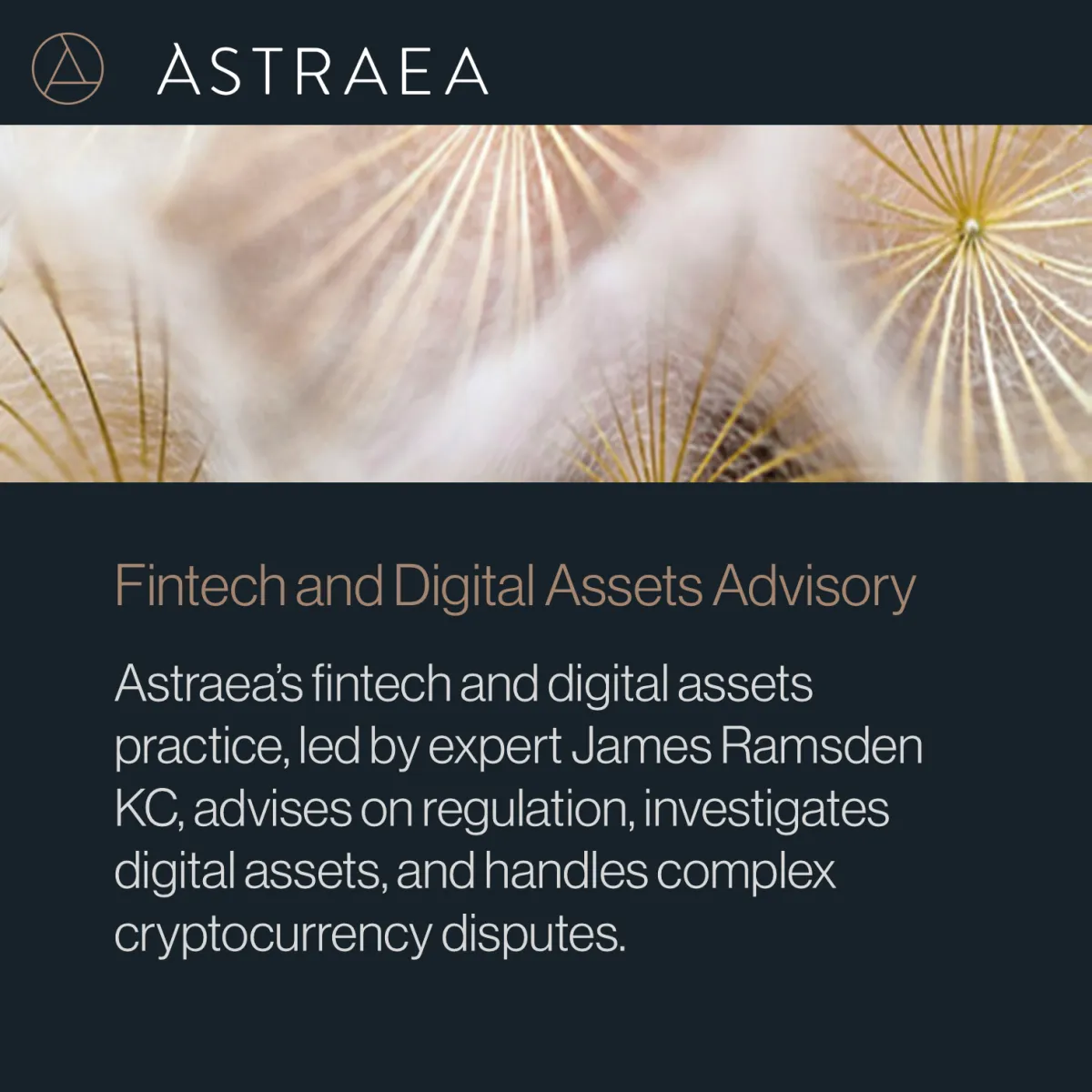 Fintech and Digital Assets Advisory