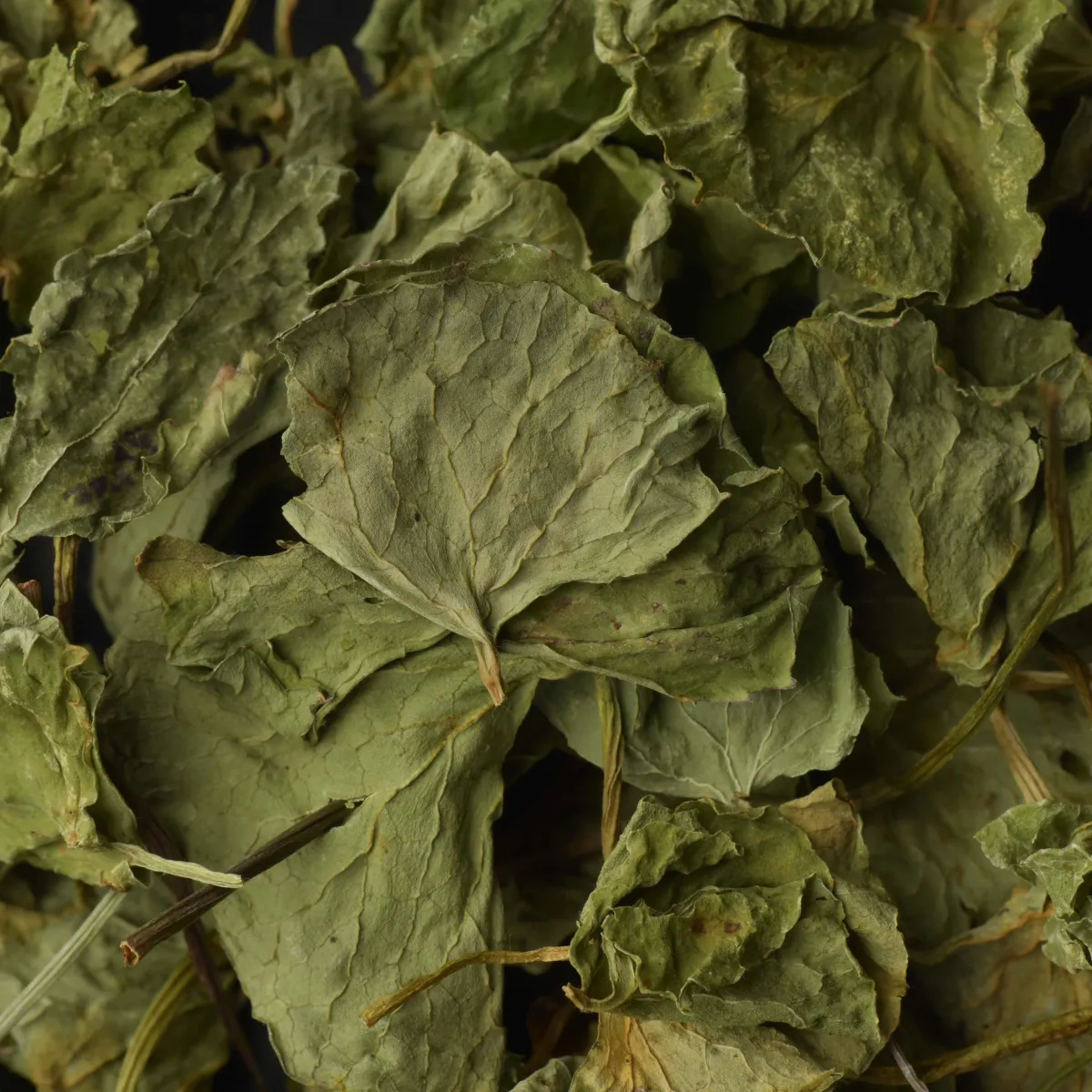 Centella Asiatica (Madagascar)