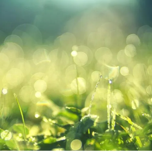 𝗩𝗶𝘁𝗮𝗙𝗶𝗯𝗲𝗿®