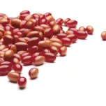 Softgels Capsules Contract Manufacturing