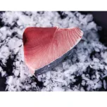 BLUEFIN TUNA (Thunnus Thynnus)
