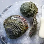 Northern East Coast Oysters
