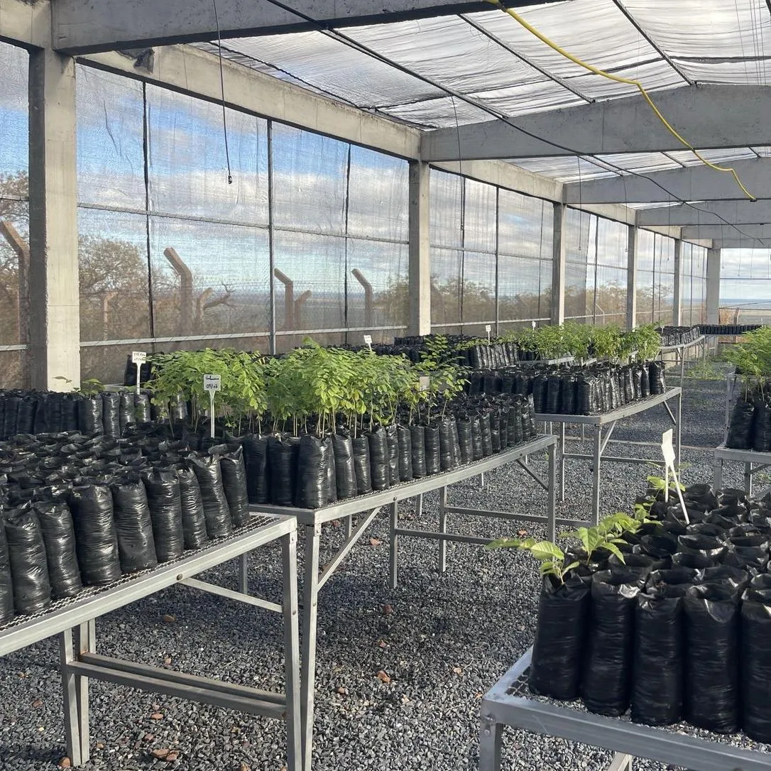 Viveiro de Mudas Nativas