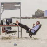 The Farm - A smorgasbord of new work