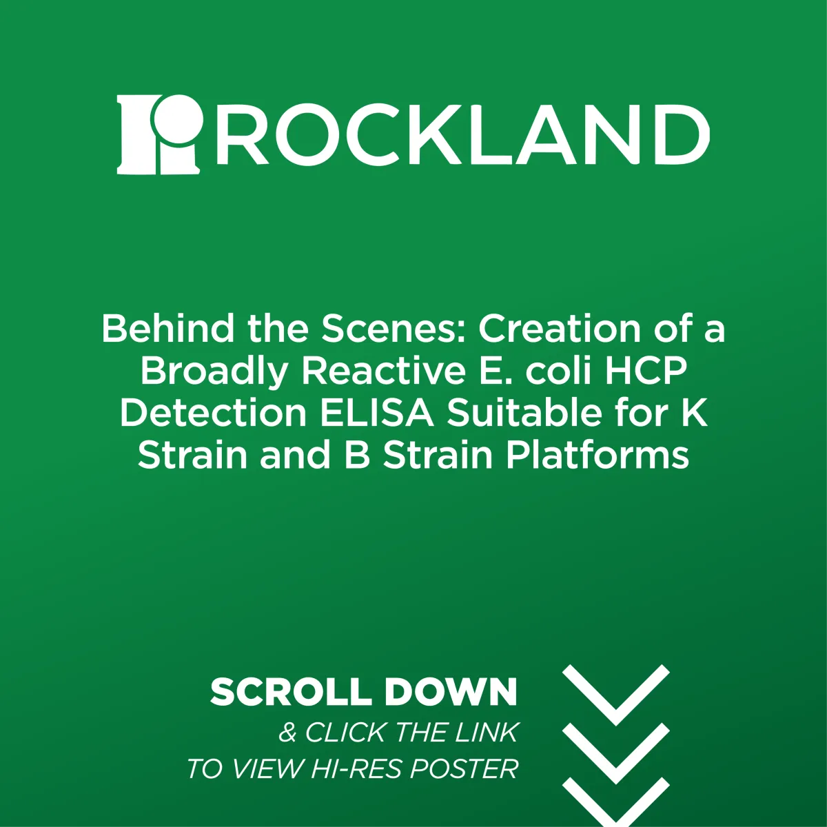 P-155-R: Behind the Scenes: Creation of a Broadly Reactive E. coli HCP Detection ELISA Suitable for K Strain and B Strain Platforms
