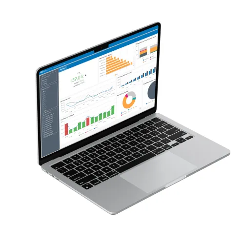 Business Intelligence