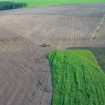 Piloto Automático Hidráulico