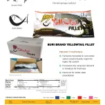 Japanese Amberjack (Seriola quinqueradiata)