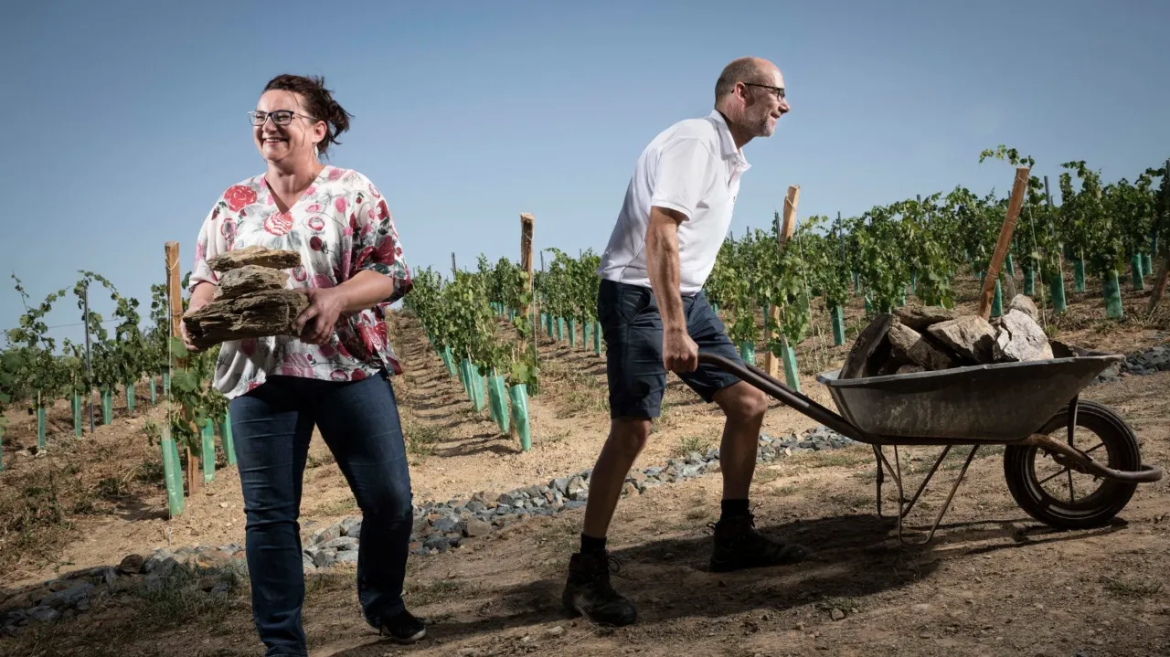 L'œnotourisme apporte-t-il une nouvelle clientèle pour le domaine ?