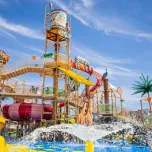 Ectovox - experiential design division