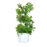 Aerospring Outdoor consumer version