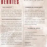 Whole Dry Miracle Berries