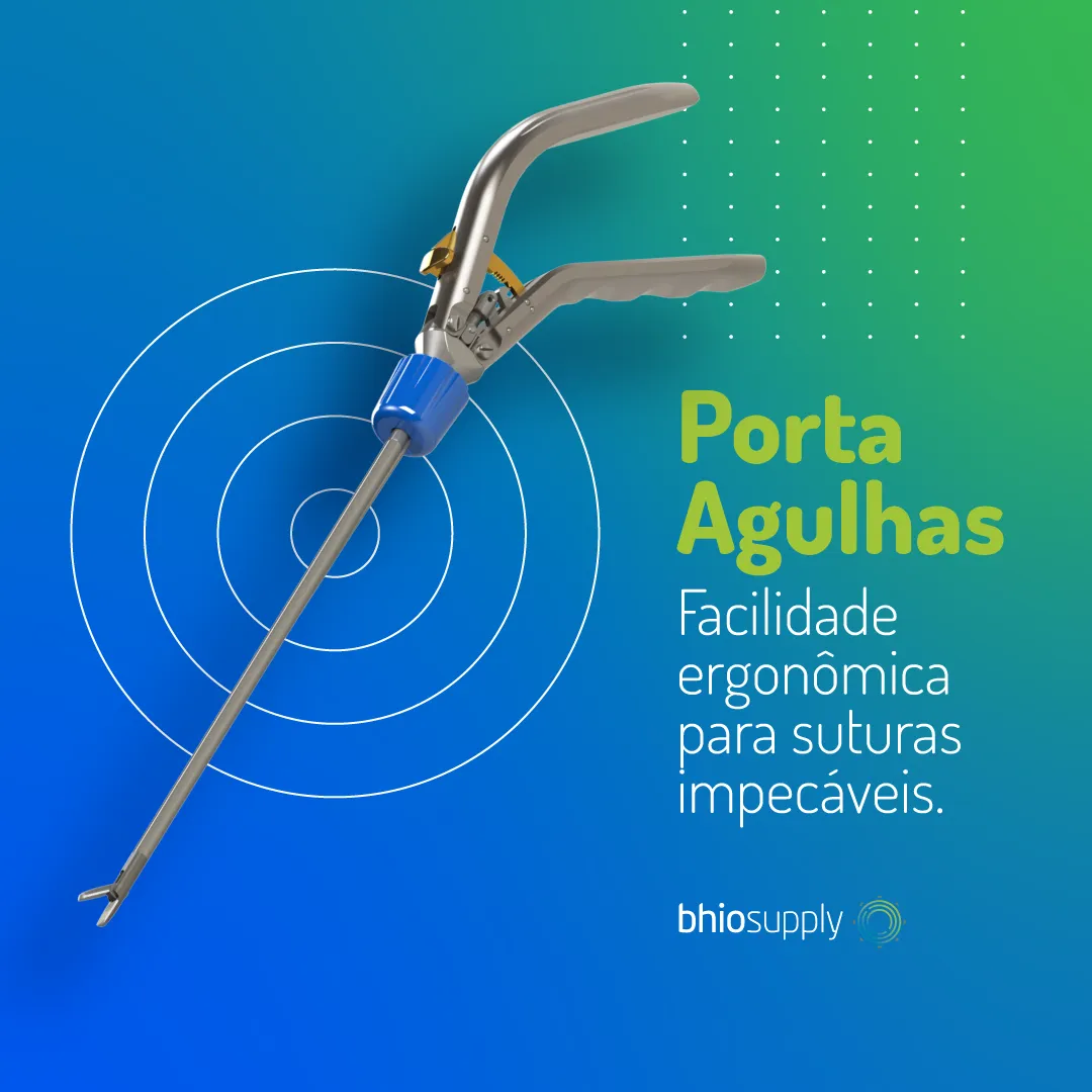 Porta-Agulhas