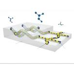 N-Sorb Nitrosamine Mitigation Technology