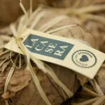 MAGGIORE CENTRO GOURMET