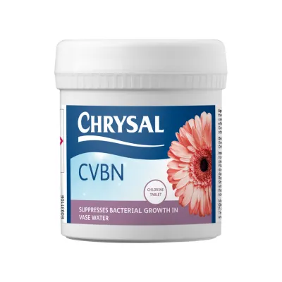 Chrysal CVBN