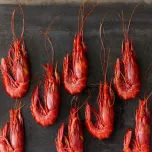 Wild-Caught and Farm-Raised Shrimp