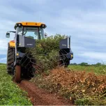 Arrancador de amendoim