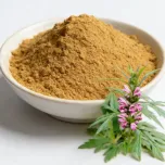 Motherwort Extract