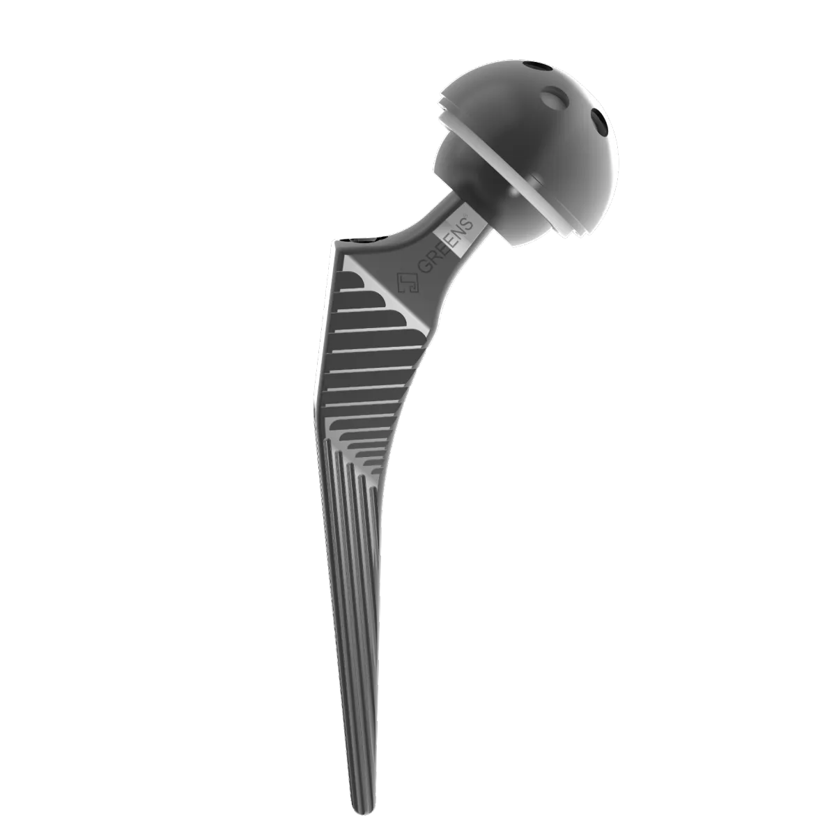 JOINT PROSTHESIS AND TOTAL HIP REPLACEMENT