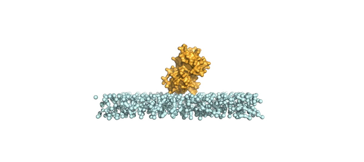 Bioinformatic analysis for enzyme immobilization