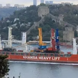 Mobile Harbor Cranes