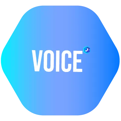 VOICE