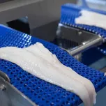 Whitefish Filleting Reinvented - BAADER 189 Pro