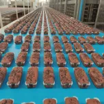 Correias Transportadoras