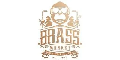 BRASS MONKEY GAMING LOUNGE LLC