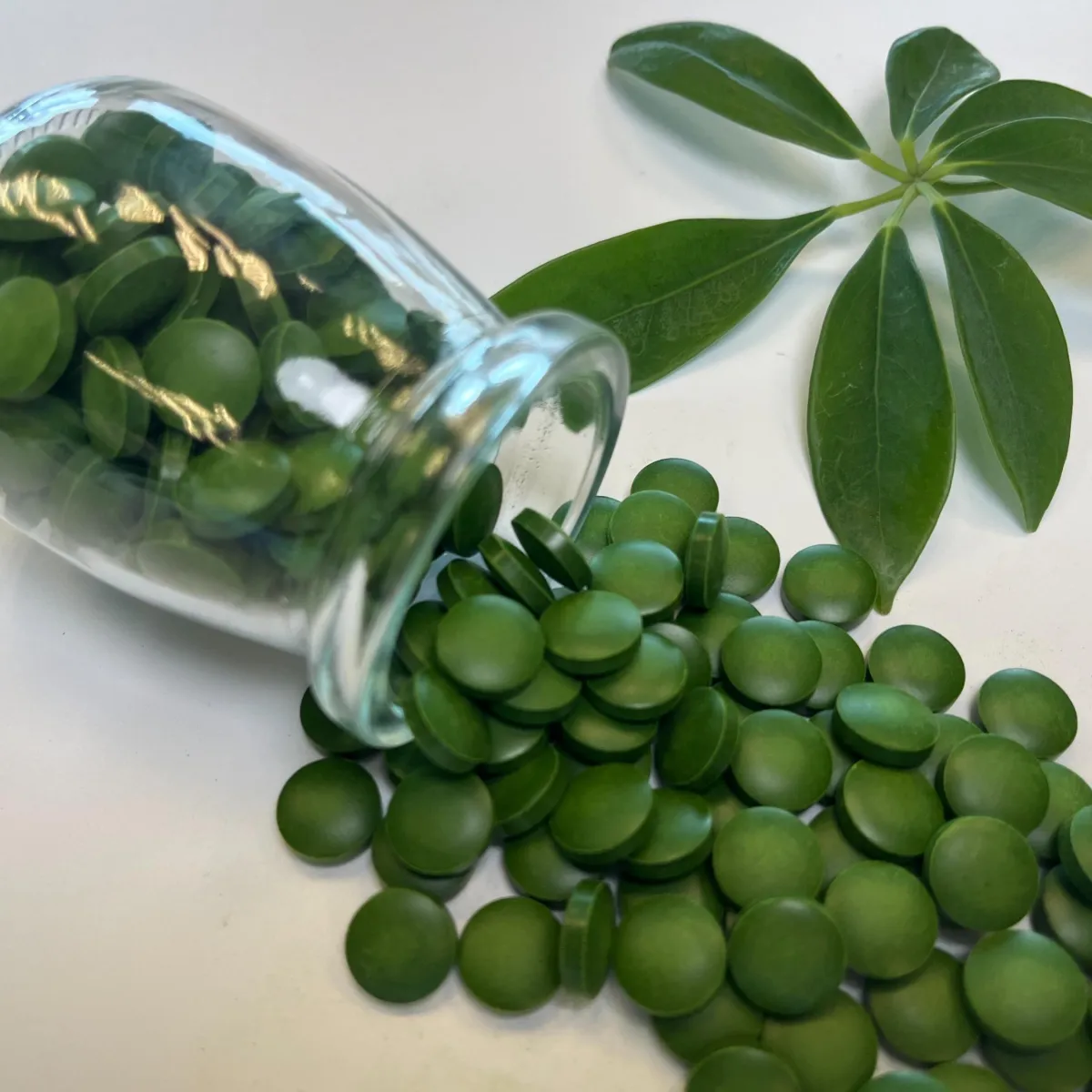Chlorella Tablets