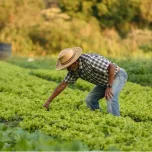 Agricultural Products