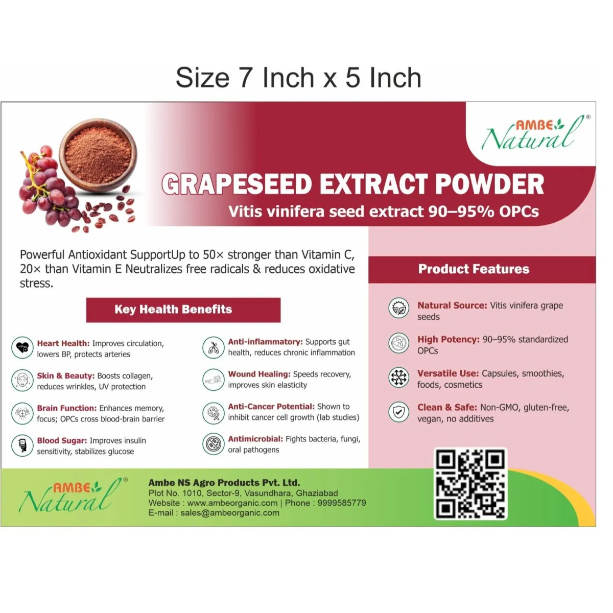 Grape Seed Extract Powder
