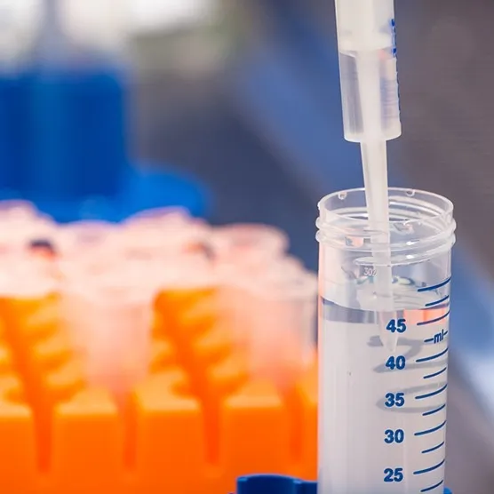 Formulation Development