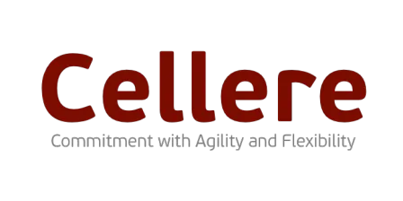 CELLERE SOLUÇÕES EM TIC S/A