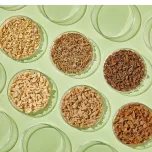 ProTerra® Textured Proteins