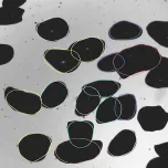 Bildoptische inline-Sensoren