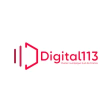 Digital 113