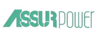 ASSURPOWER ENGINE PARTS LLC