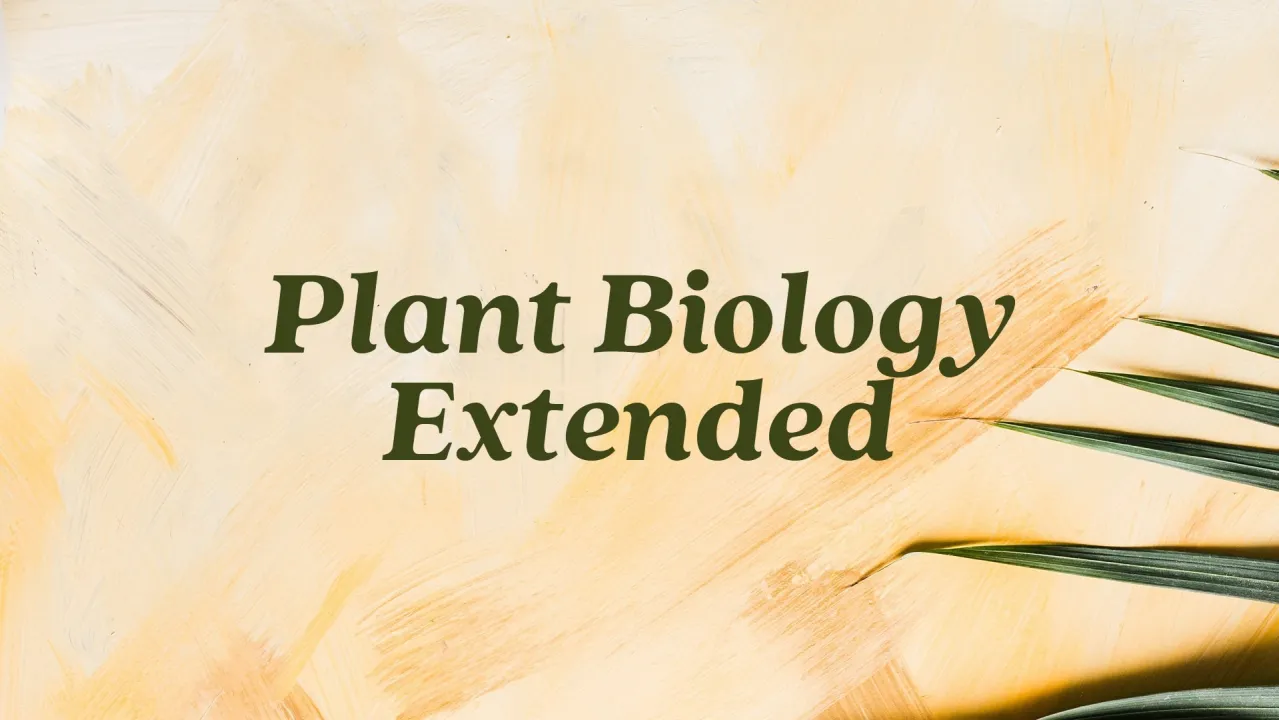 Extended: Decoding Ca2+ signatures and signaling to the actin cytoskeleton during the plant immune response