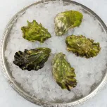 Northern West Coast Oysters