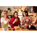 Mayer Premium Elderflower Syrup / Cordial