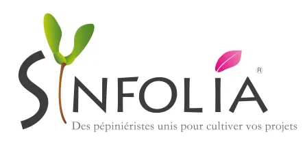 SYNFOLIA