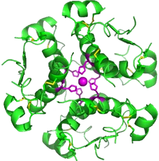 Peptide CRDMO Platform