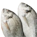 Dorade (Sea Bream, Orata) Fillet & Whole