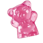 Biobor Probiotic Gummy Bears 450g Share packing