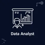 Data Analyst