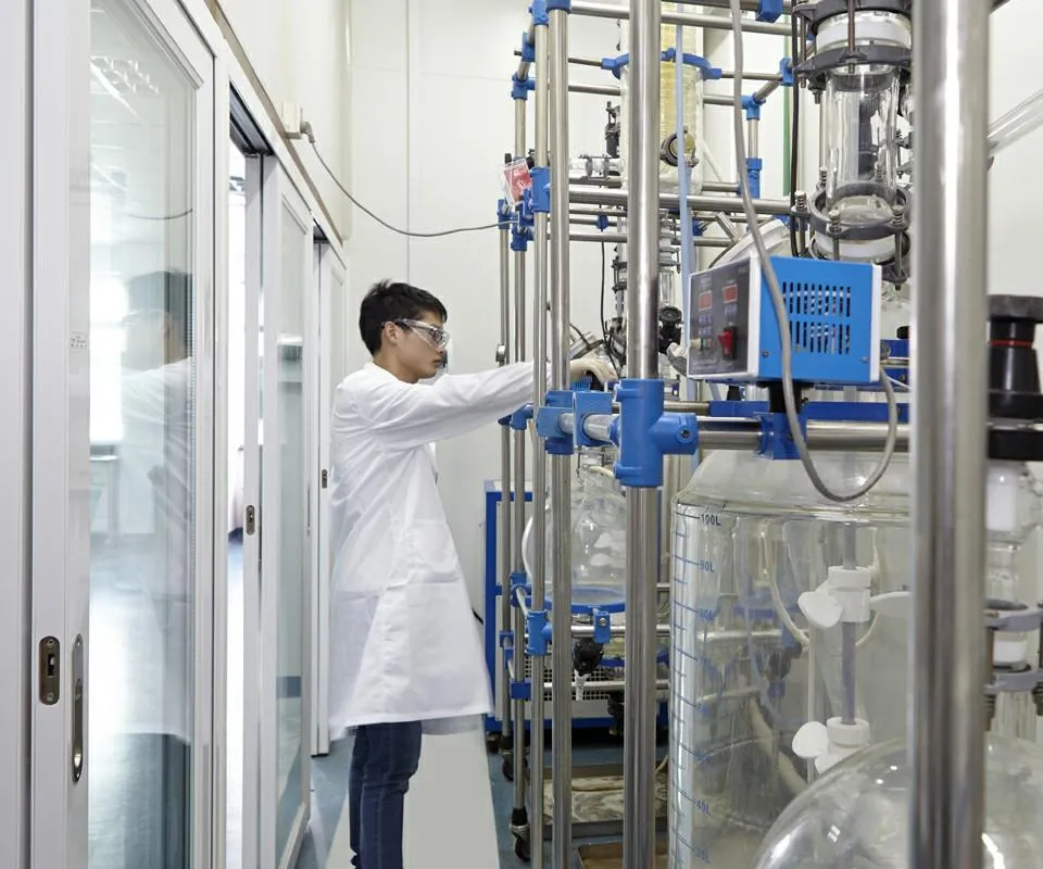 Process Development